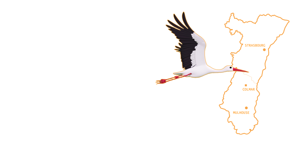 Lancement exclusif en Alsace copie